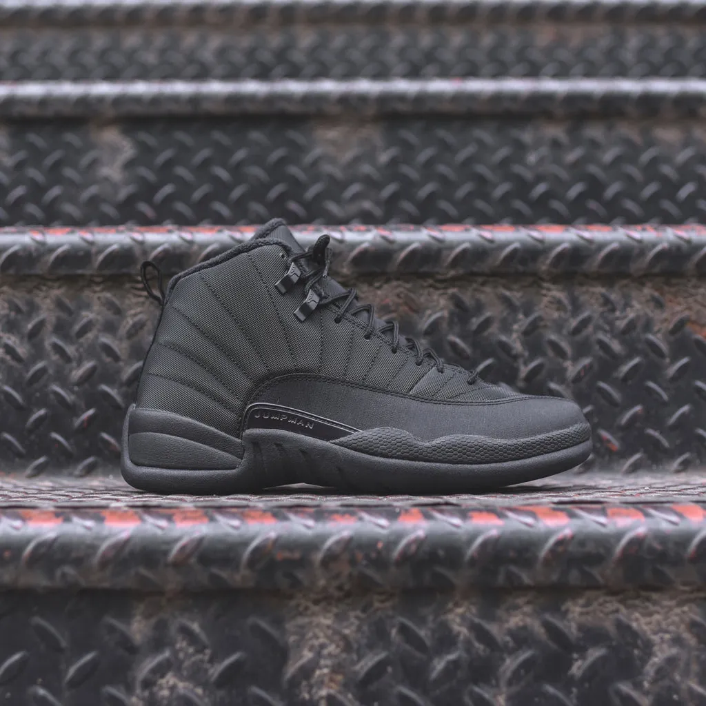 Jordan    nike air  12 retro