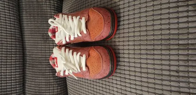 Nike dunk lobster