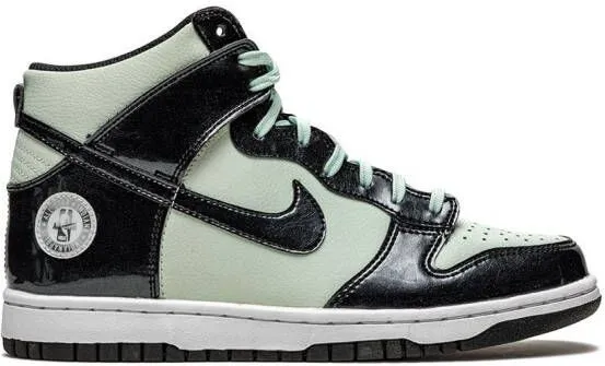 Nike Kids Dunk High SE 