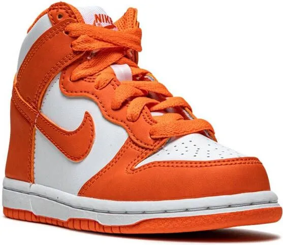 Nike Kids Dunk High 