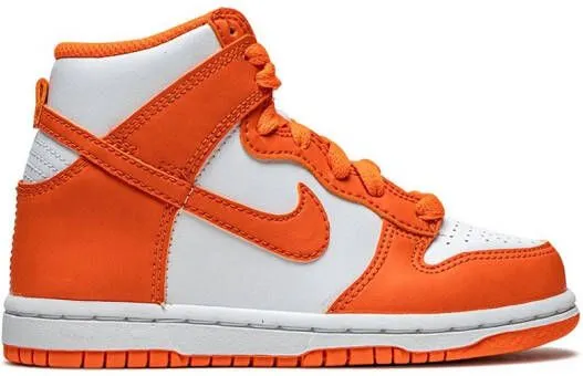 Nike Kids Dunk High 