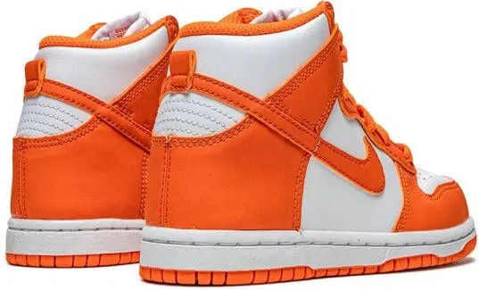 Nike Kids Dunk High 