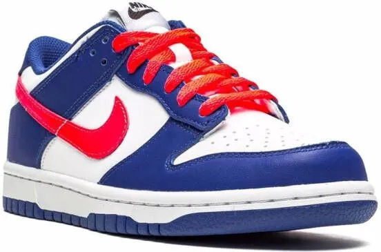 Nike Kids Dunk Low 