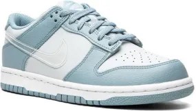 Nike Kids Nike Dunk Low Clear Swoosh Blue sneakers