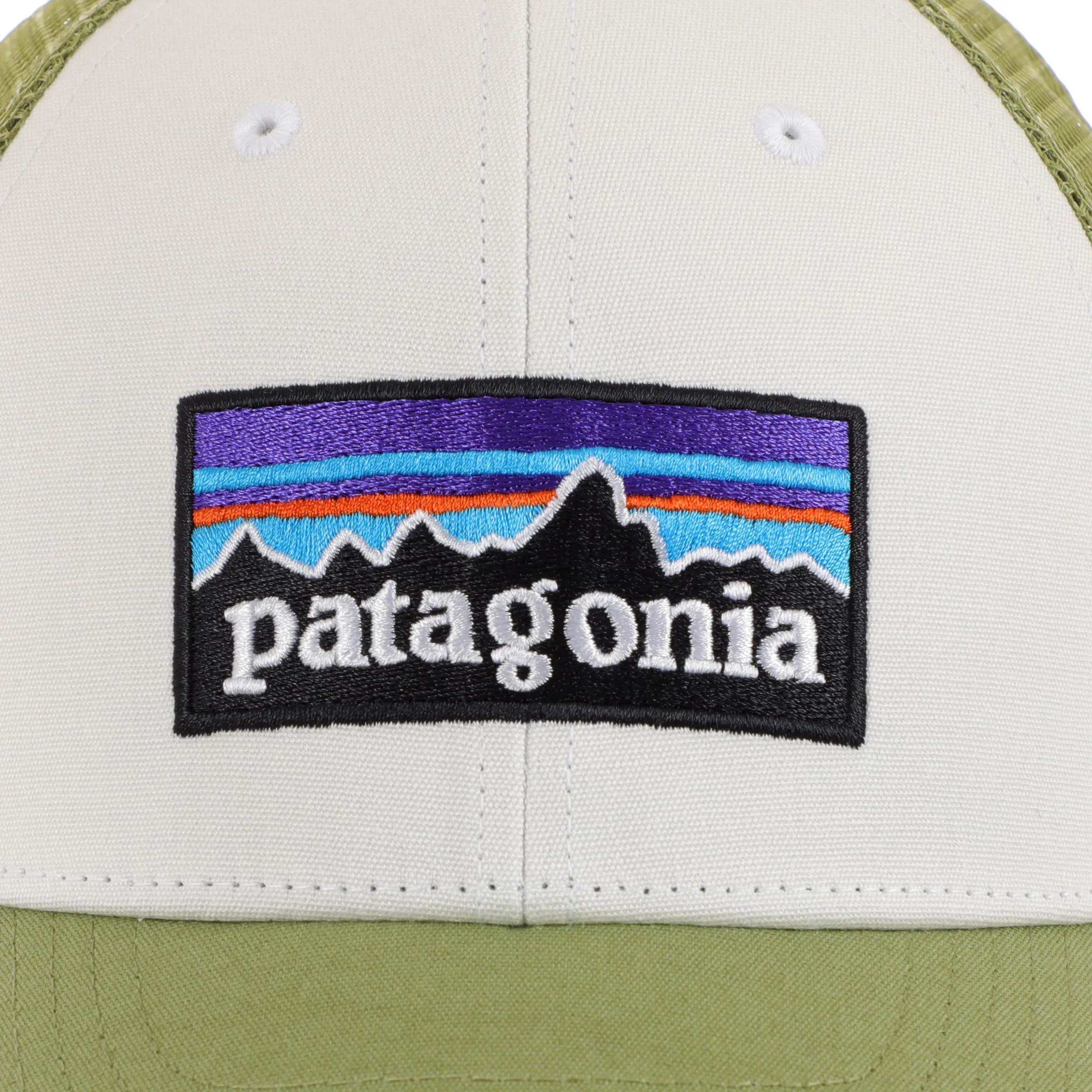 Patagonia P-6 Logo LoPro Trucker Hat