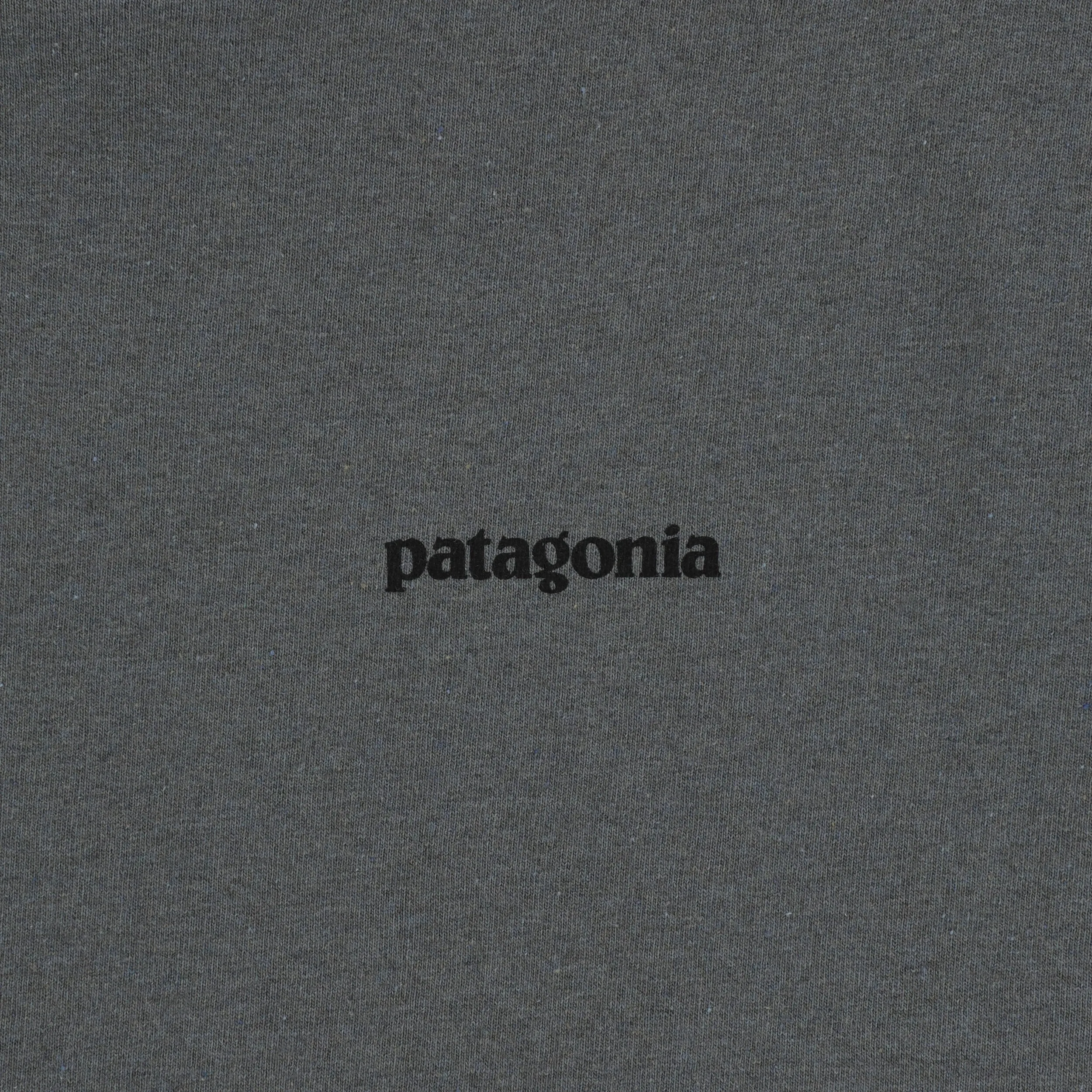 Patagonia P-6 Logo Responsibili-Tee L/S T-shirt