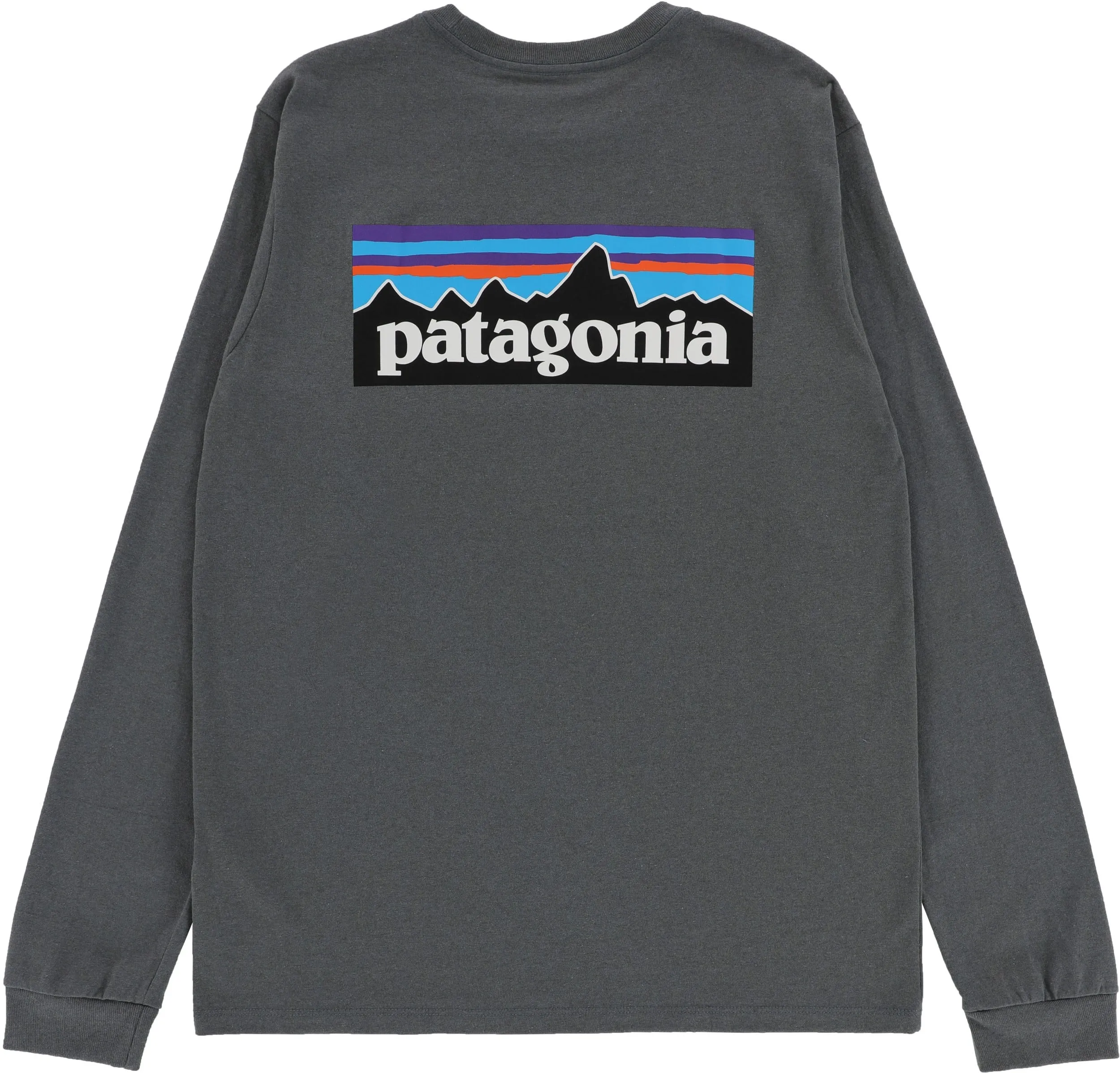 Patagonia P-6 Logo Responsibili-Tee L/S T-shirt