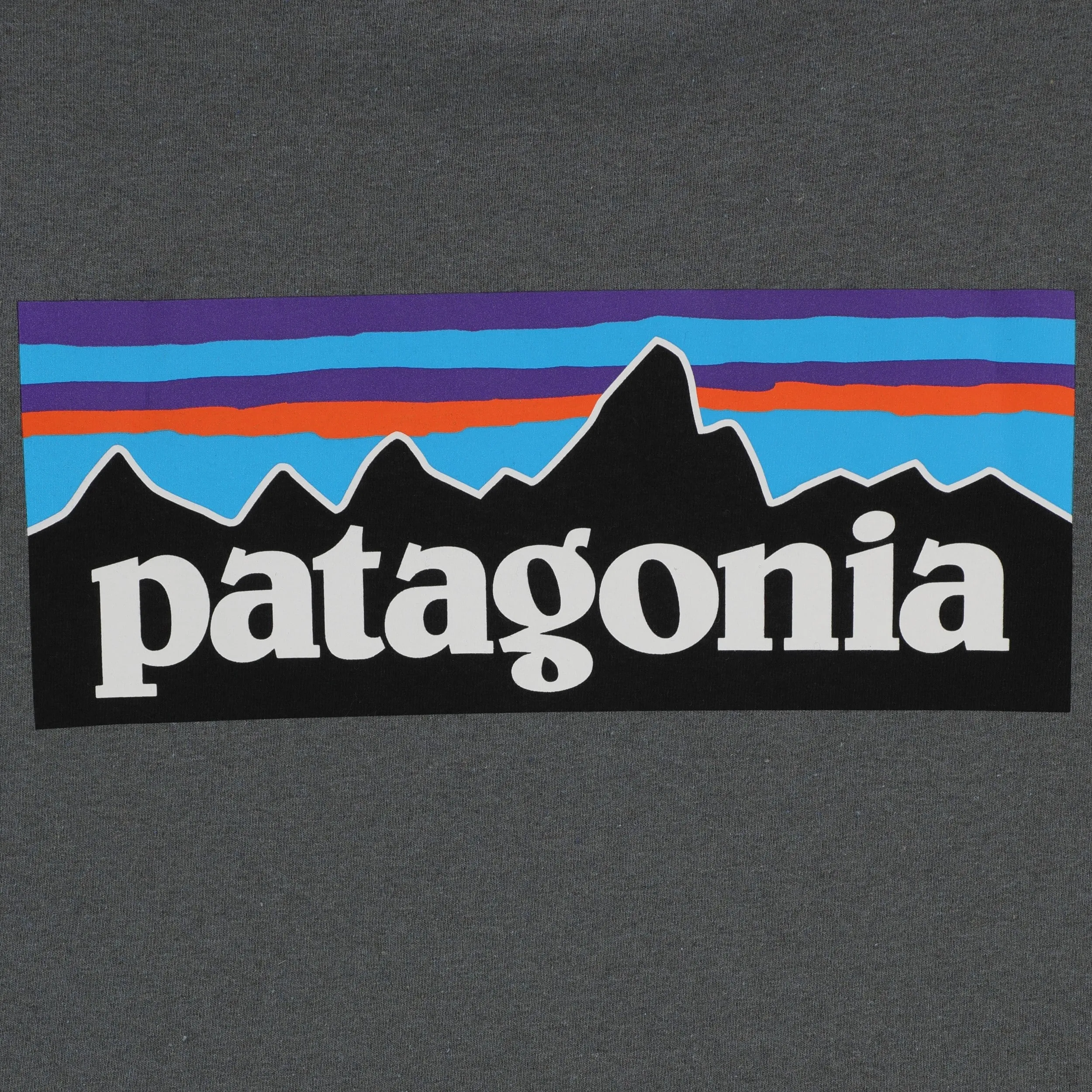 Patagonia P-6 Logo Responsibili-Tee L/S T-shirt