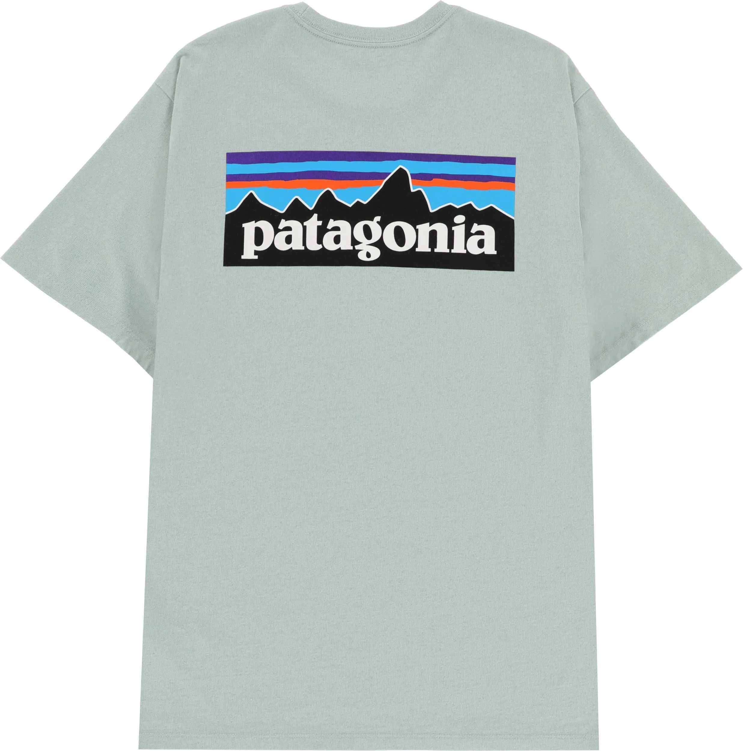 Patagonia P-6 Logo Responsibili-Tee T-Shirt