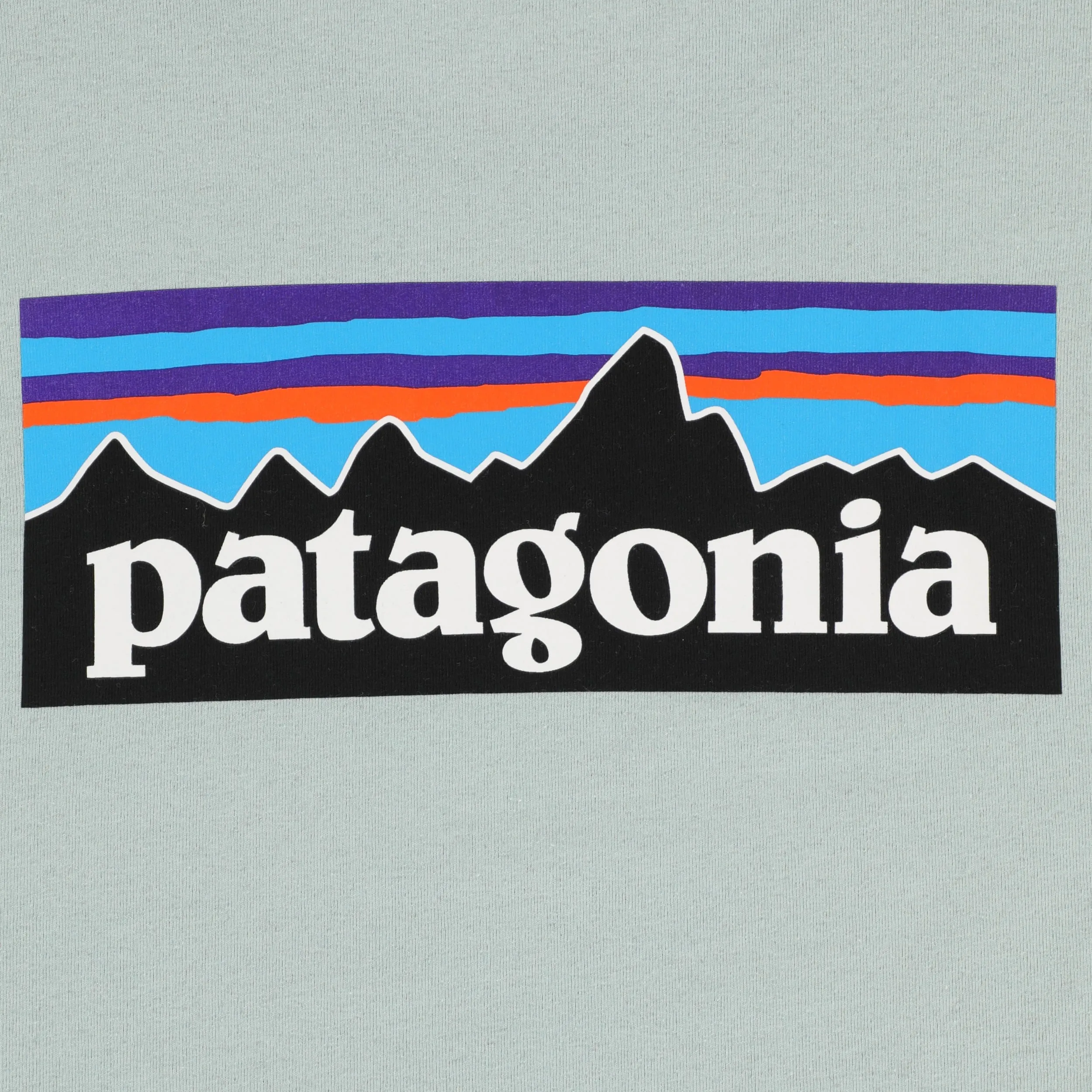 Patagonia P-6 Logo Responsibili-Tee T-Shirt